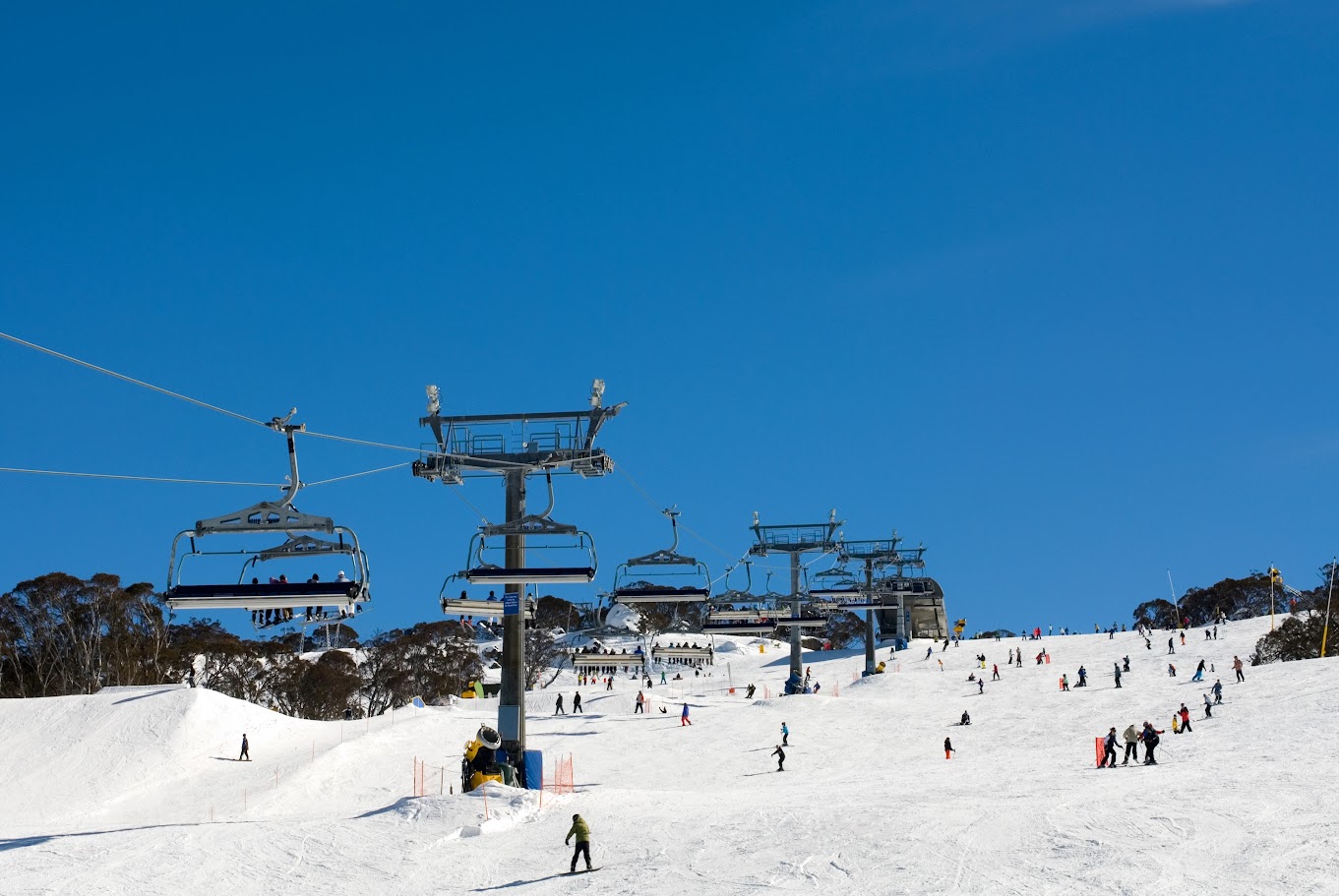 Dinner Plain in Australia - a group of people skiing down a snowy slope.