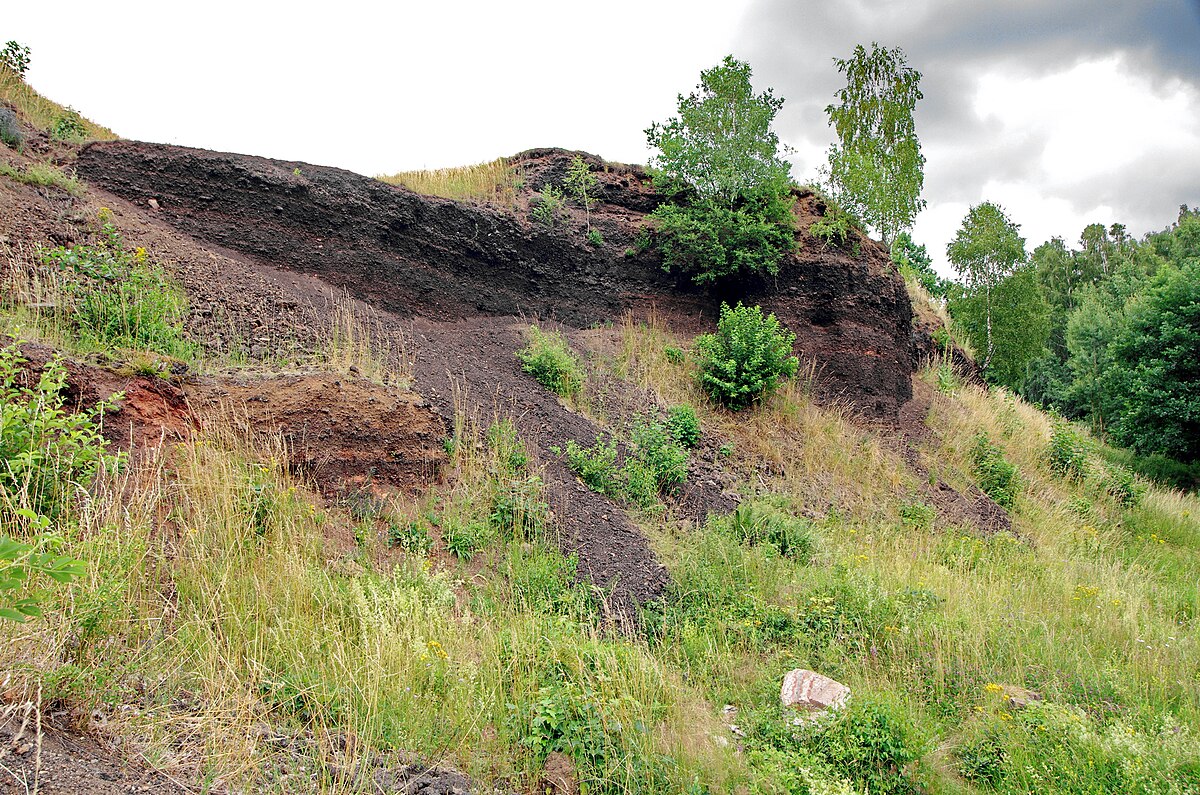 Hůrka in Czech Republic - a hill with grass and bushes growing on it.