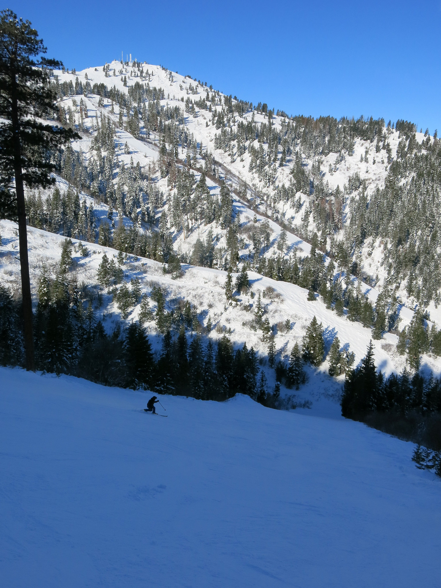 Bogus Basin in USA - a person riding a snowboard down a hill.