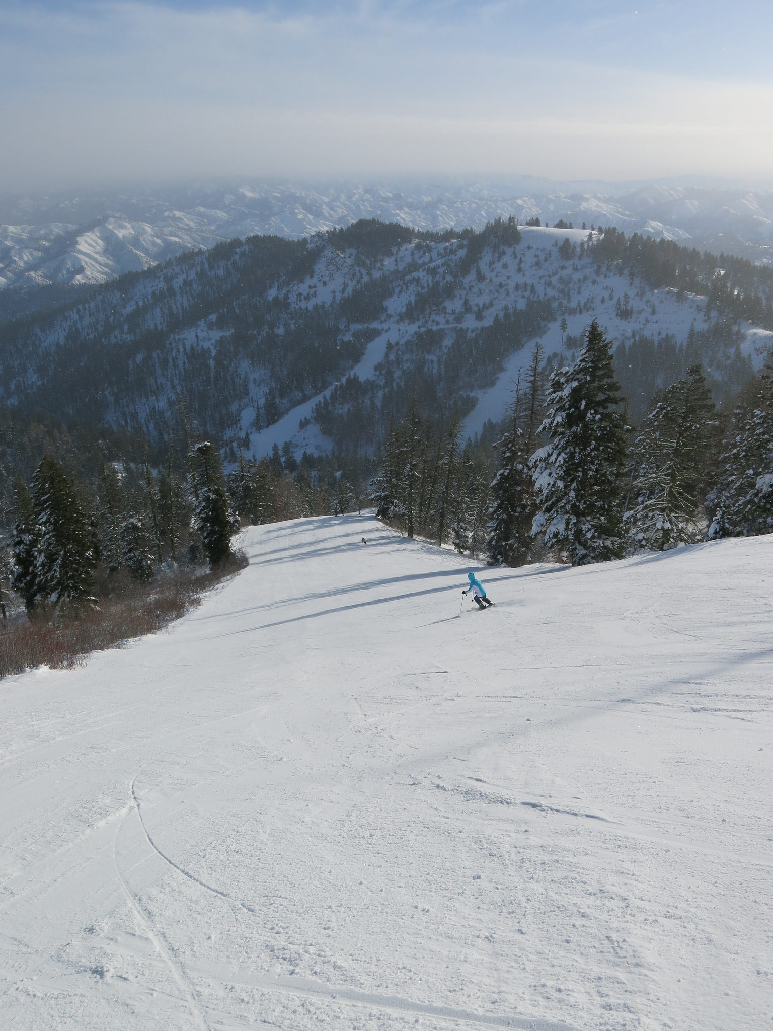 Bogus Basin in USA - a person riding a snowboard down a hill.
