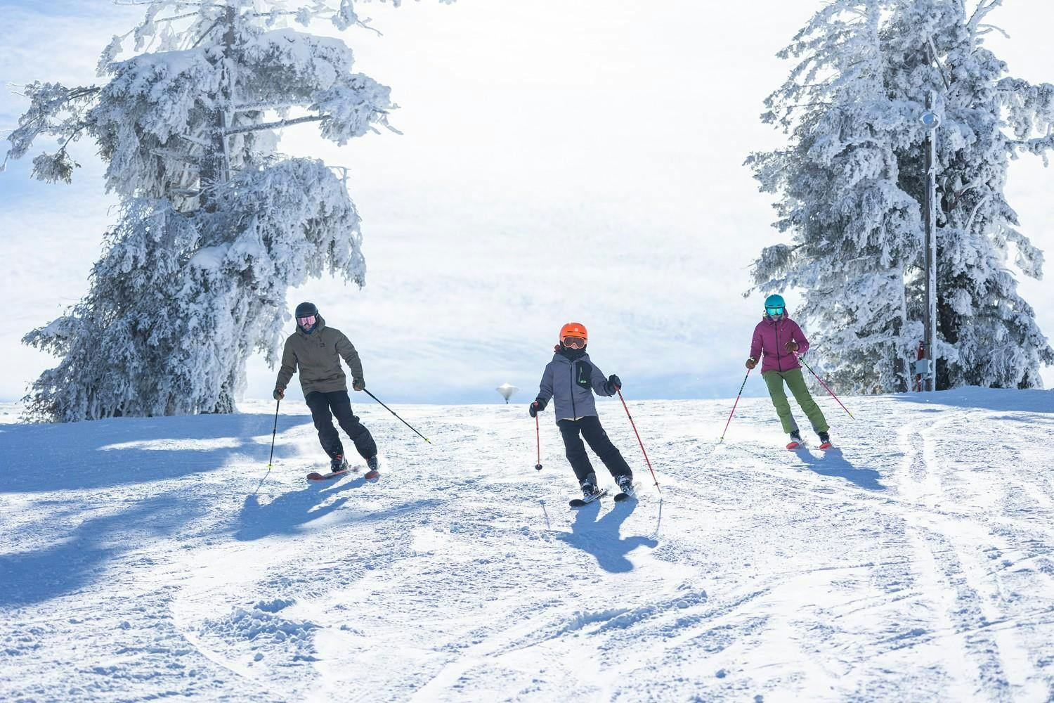 Bogus Basin in USA - three people are skiing down a snowy hill.