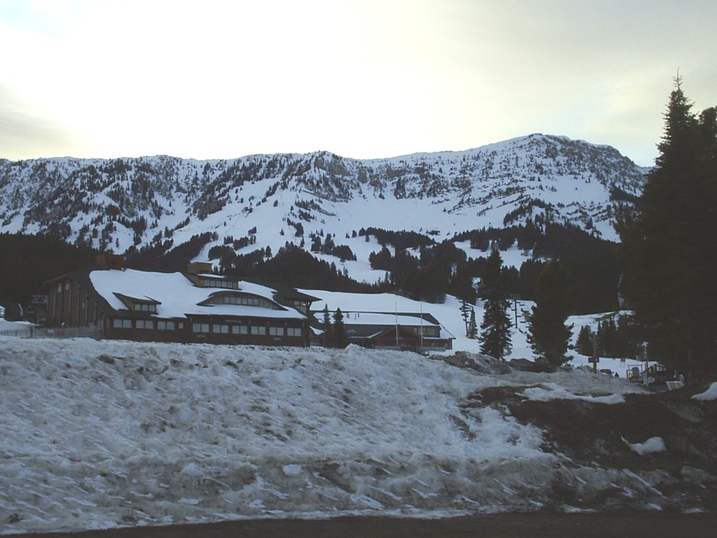 Bridger Bowl – Bozeman in USA - a snow covered mountain.