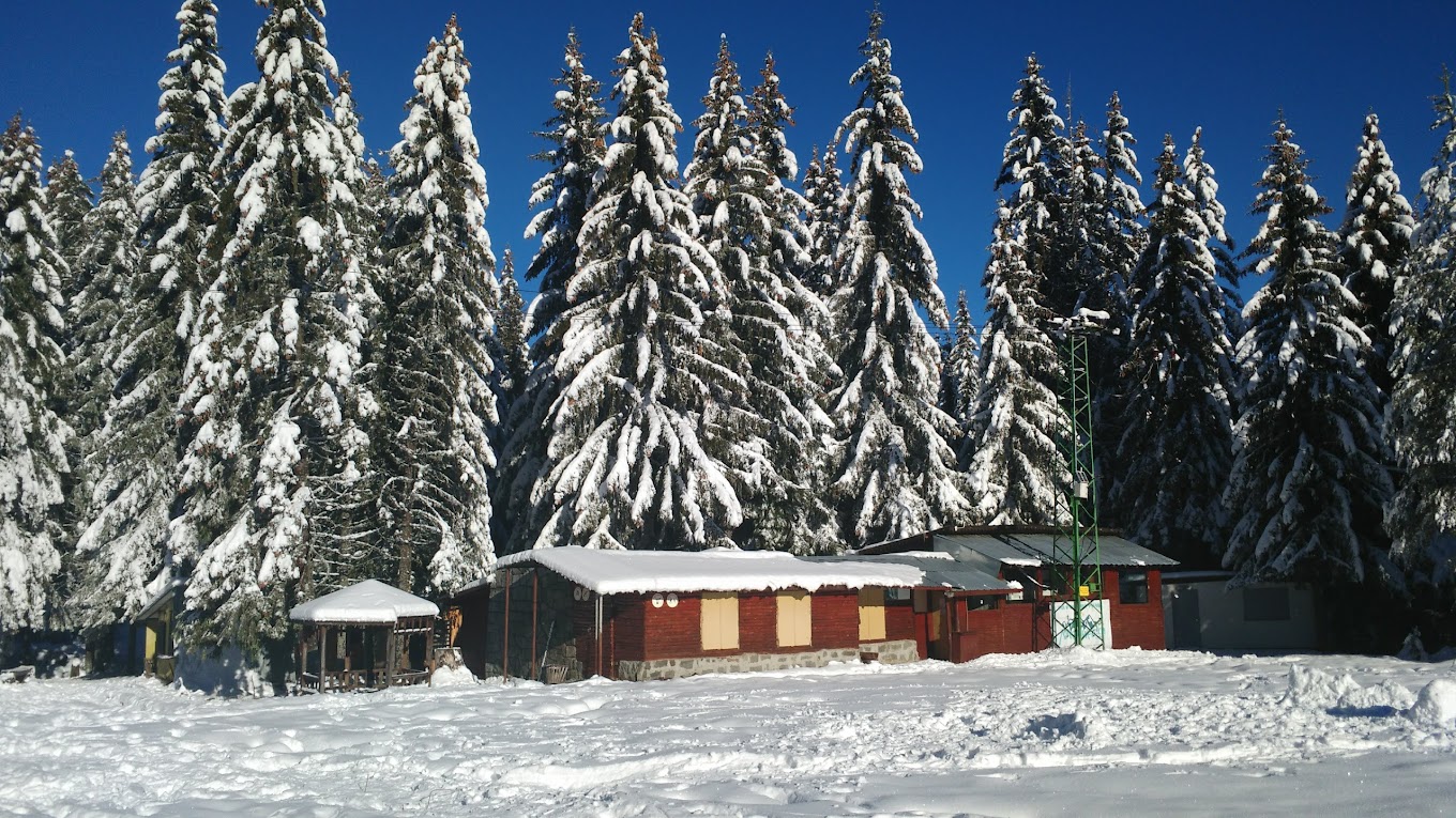 Vetrovala in Bulgaria - a cabin in the middle of a snowy forest.