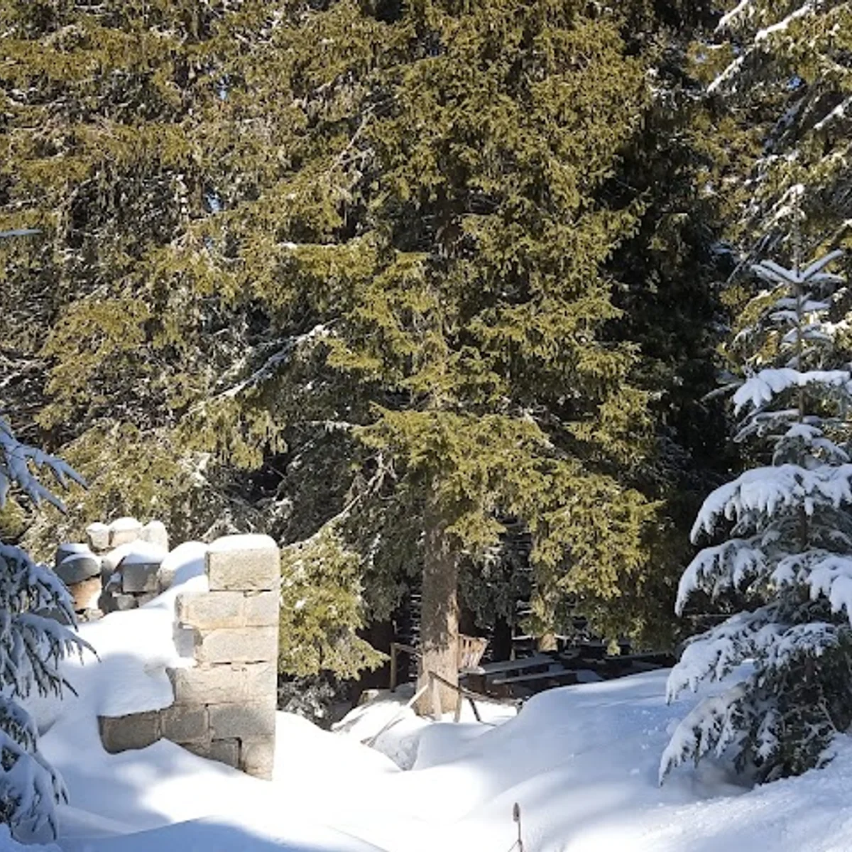 Vetrovala in Bulgaria - a small cabin in the woods covered in snow.