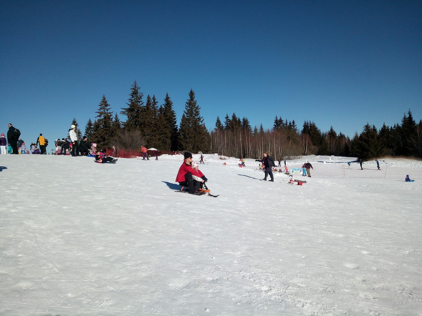 Ophelii in Bulgaria - a group of people riding down a snow covered slope.