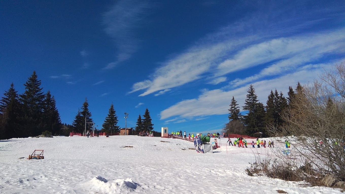 Ophelii in Bulgaria - a group of people skiing down a snow covered hill.