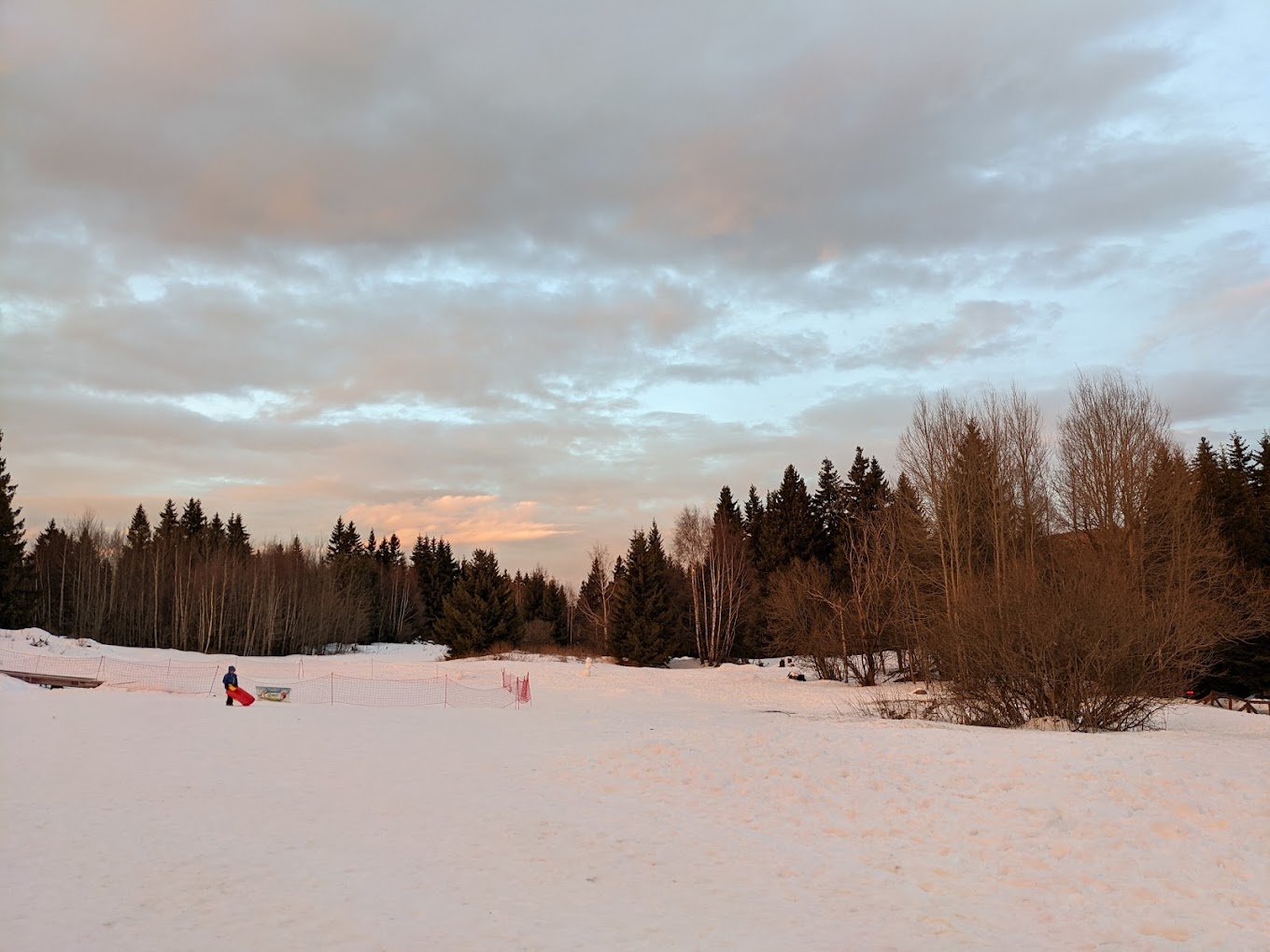Ophelii in Bulgaria - a person standing in the snow near some trees.