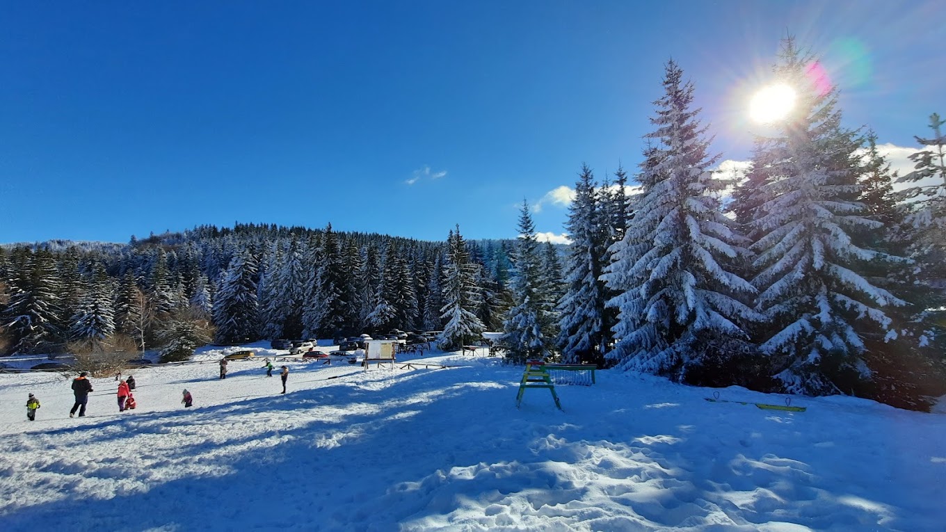Ophelii in Bulgaria - a group of people skiing down a snow covered hill.