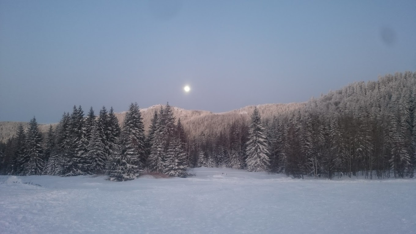 Ophelii in Bulgaria - a snowy landscape with trees and a moon in the sky.