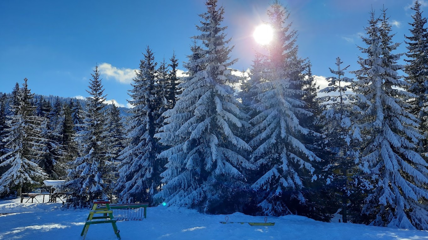 Ophelii in Bulgaria - a green bench in the middle of a snow covered forest.