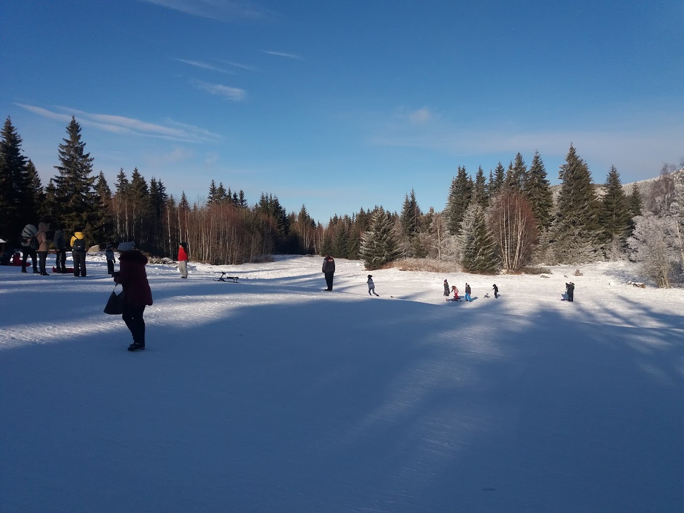 Ophelii in Bulgaria - a group of people are skiing down a hill.