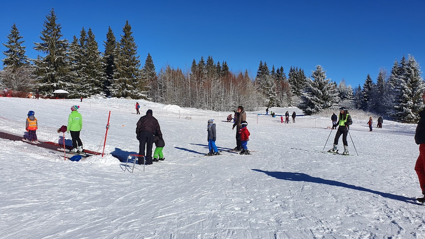Ophelii in Bulgaria - a group of people skiing down a snow covered hill.