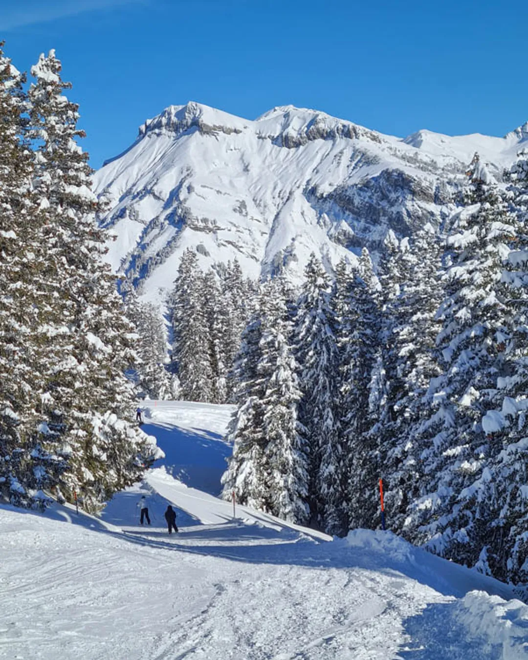 Elm in Switzerland - a person skiing down a snowy slope in the mountains.
