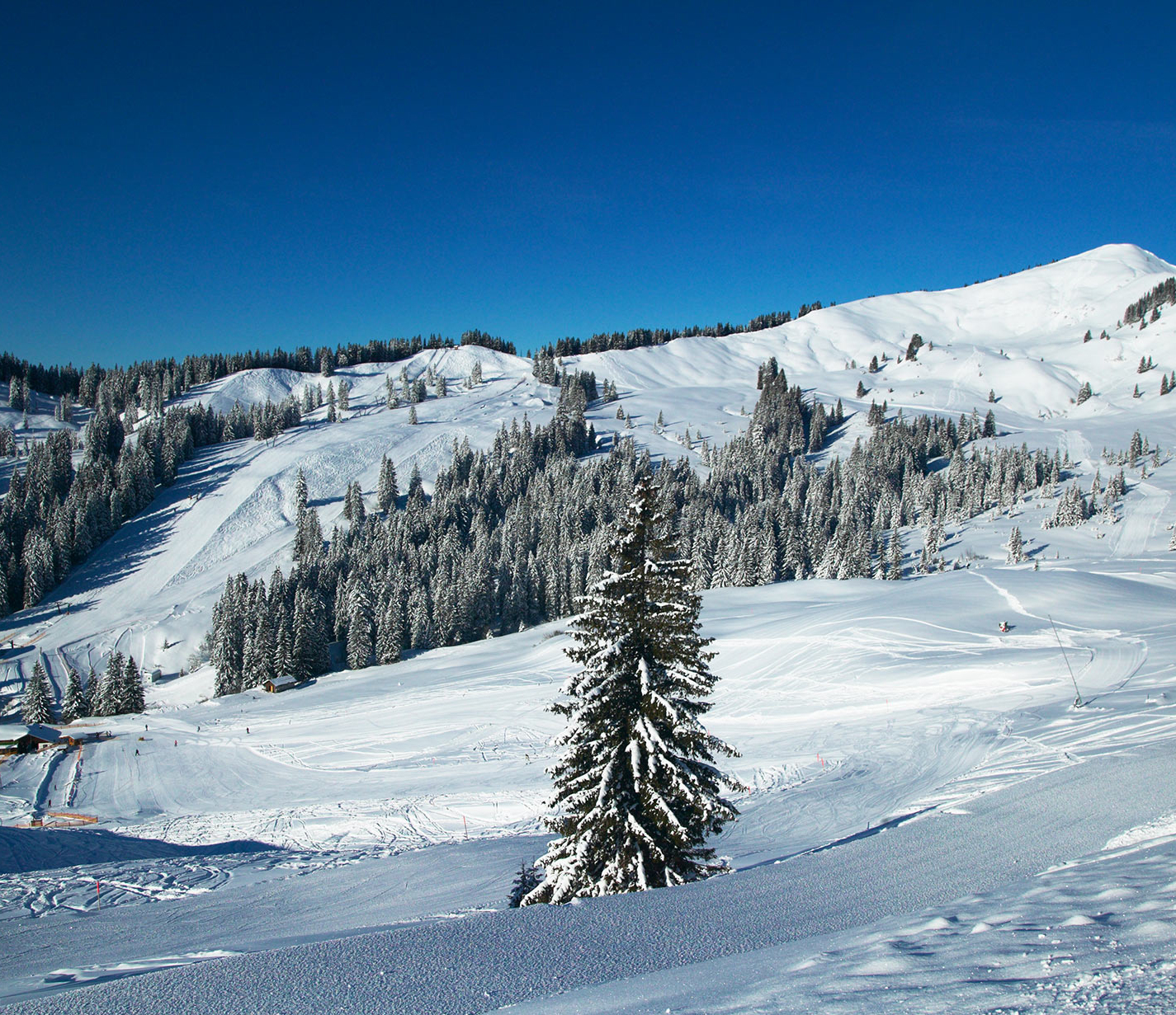 Grasgehren – Bolgengrat in Germany - a person on a snowboard in the snow.