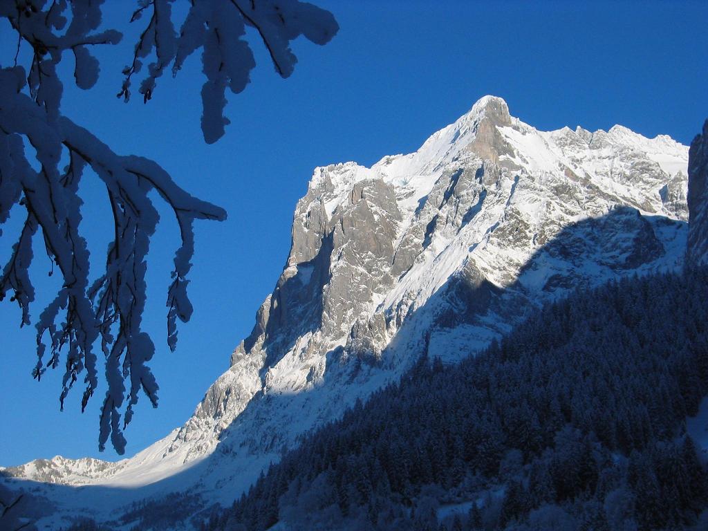 Grindelwald First in Switzerland - a mountain covered in snow.