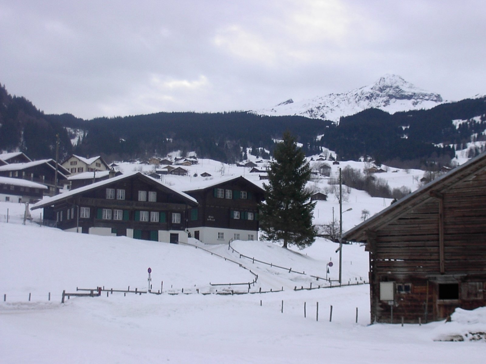 Grindelwald First in Switzerland - snow on the ground.