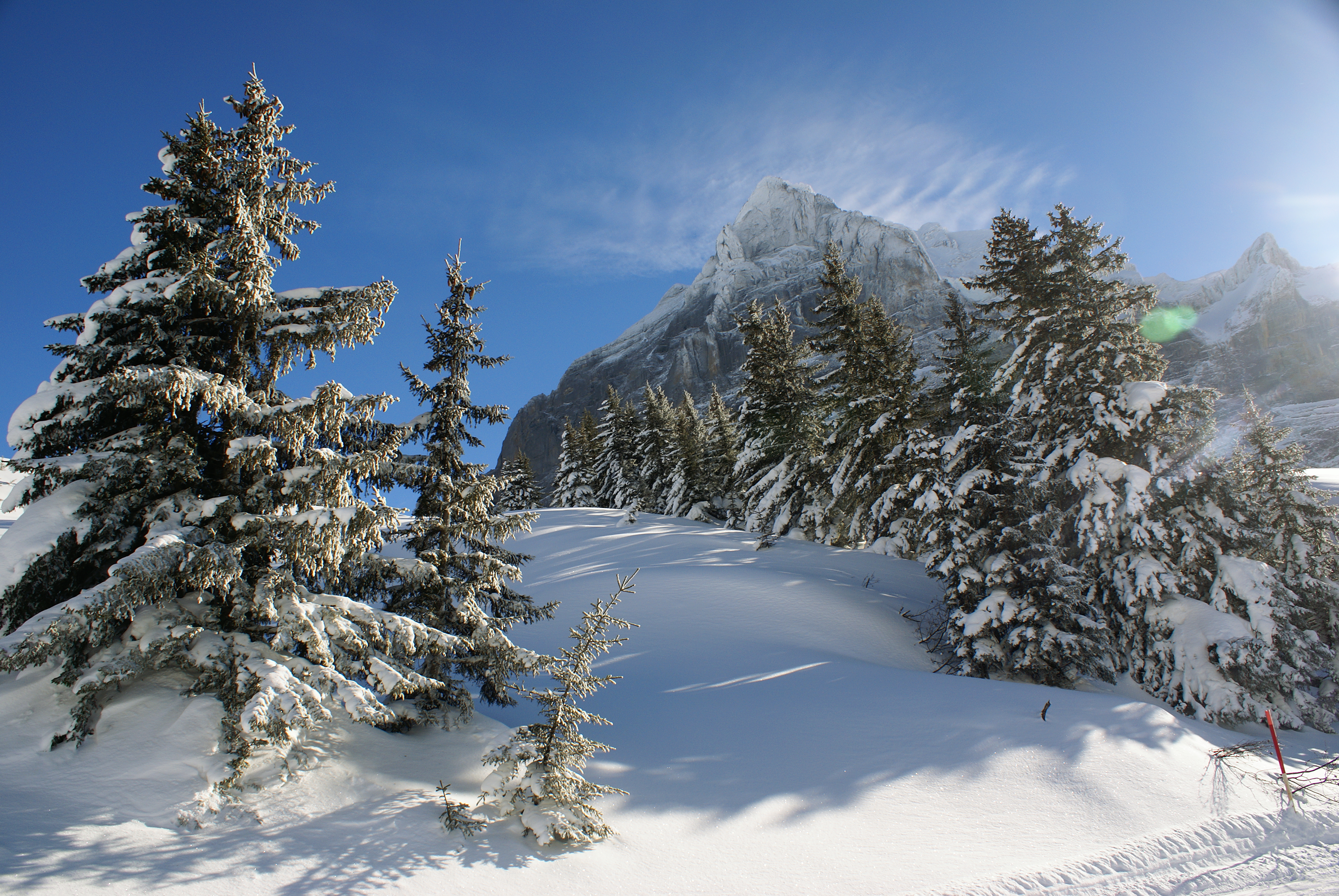 Grindelwald First in Switzerland - a person skiing down a snow covered mountain.