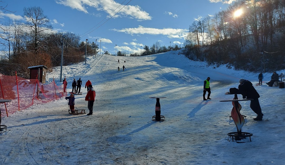 Vučići in Croatia - a group of people riding ski boards down a hill.