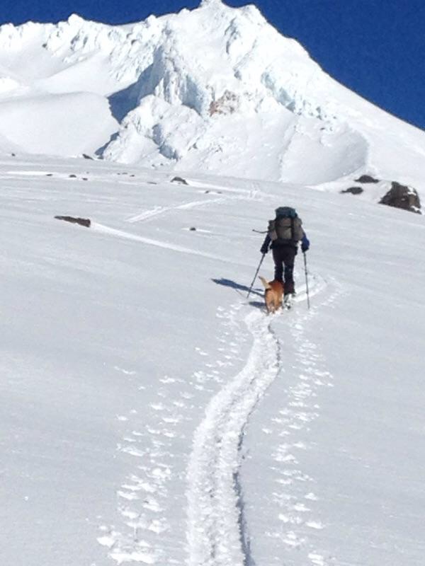 Timberline in USA - a person walking up a snow covered mountain.