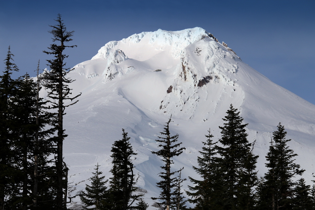 Timberline in USA - a snow covered mountain.