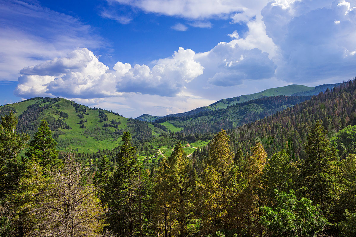 A sunlit scene at Ski Apache in Alto New Mexico showcasing a large mountain covered in a dense forest of trees with a charming challet nestled amongst them.