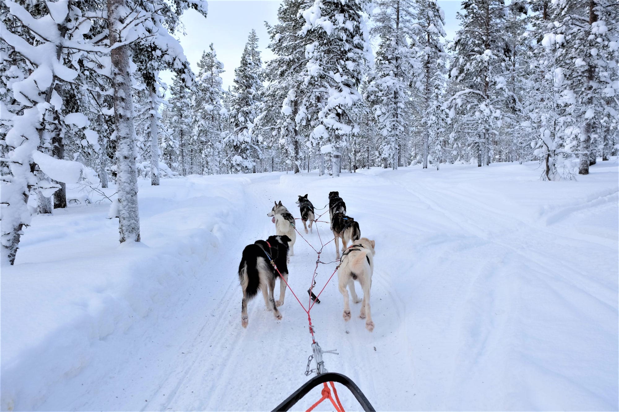 Winter sports scene at Karellis in Savoie Mont Blanc, France featuring a snowmobile, a family enjoying skiing, and a cozy chalet amidst the serene snow-covered landscape.