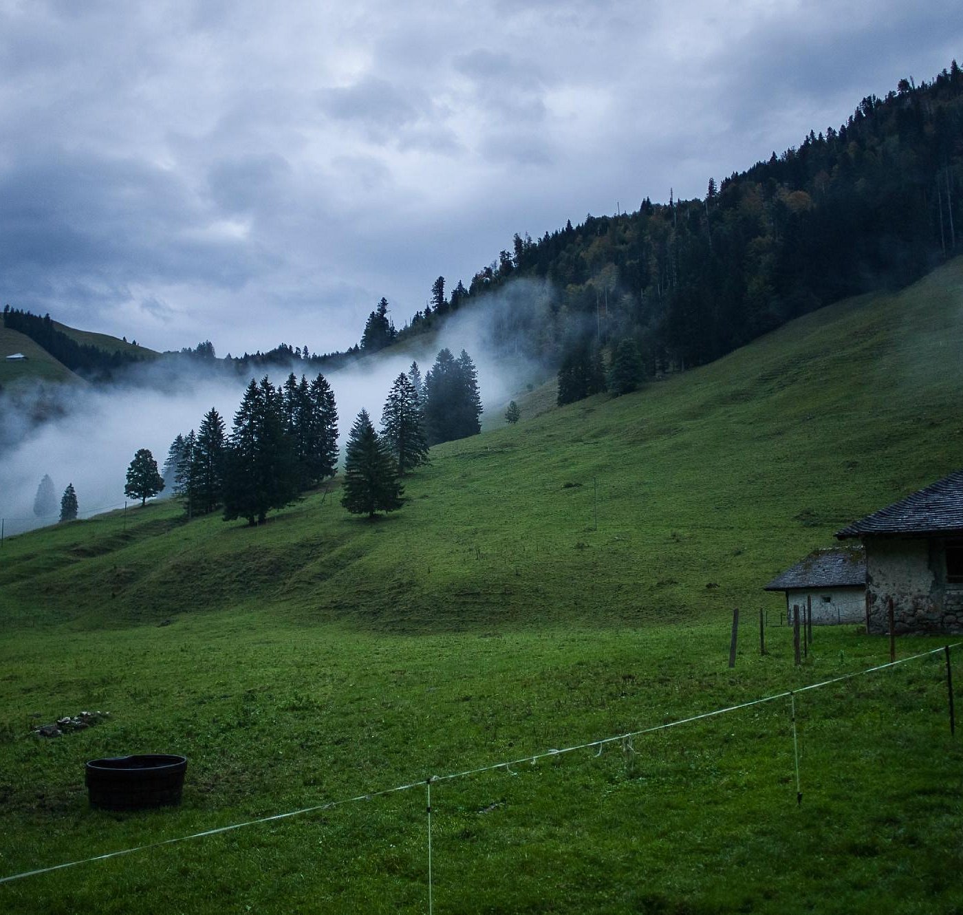 Charmey in Switzerland - a field of green grass.