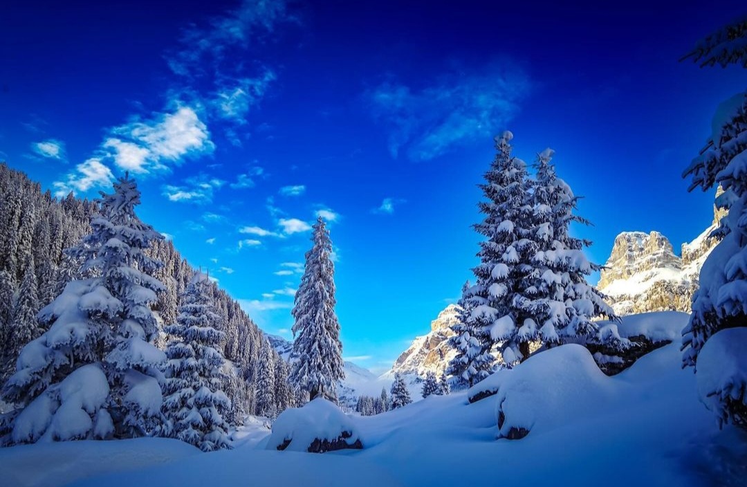 Urnerboden in Switzerland - snow covered trees on the side of a mountain.