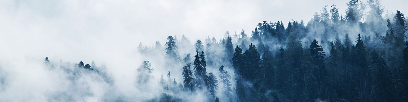 Stunning winter scenery in Ochsenkopf, Fichtel Mountains, Bavaria, Germany, featuring a snowy mountain peak, dense forest of trees, and a cozy chalet nestled amidst the snow.