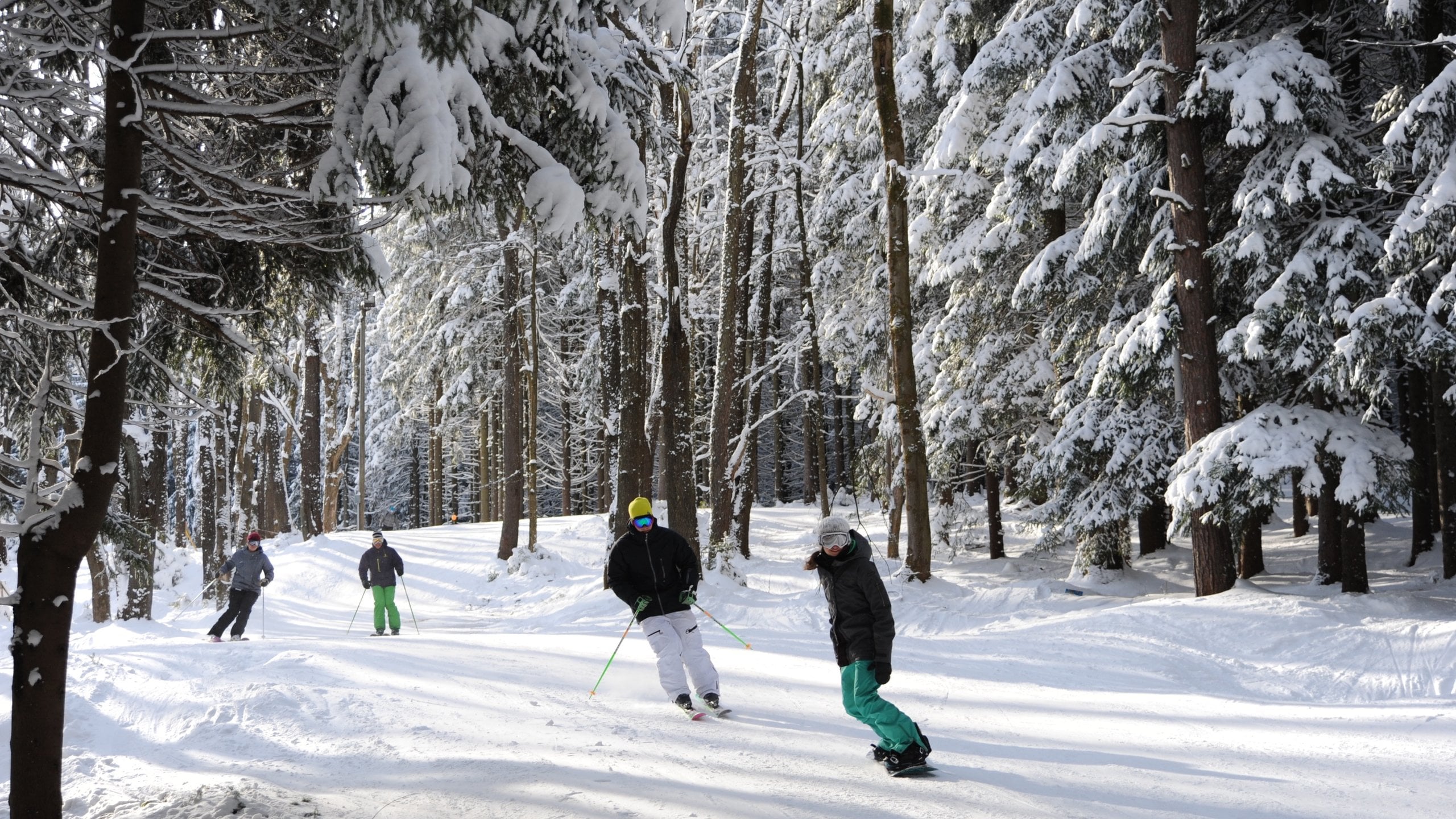 Holiday Valley Resort in USA - a group of people cross country skiing in the snow.