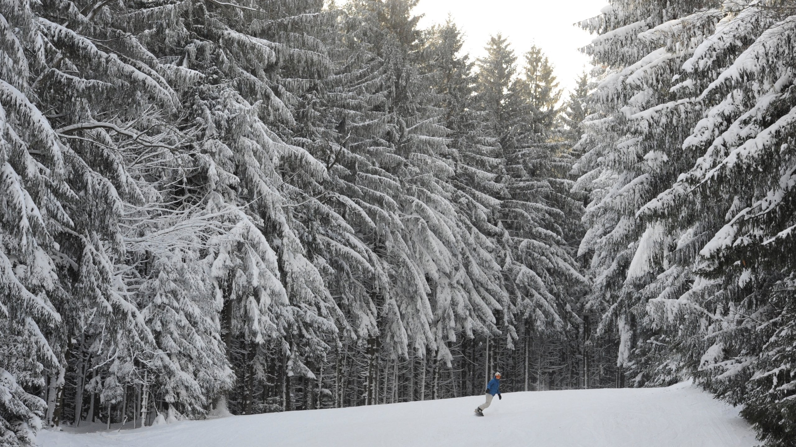 Holiday Valley Resort in USA - a person skiing down a snow covered hill.
