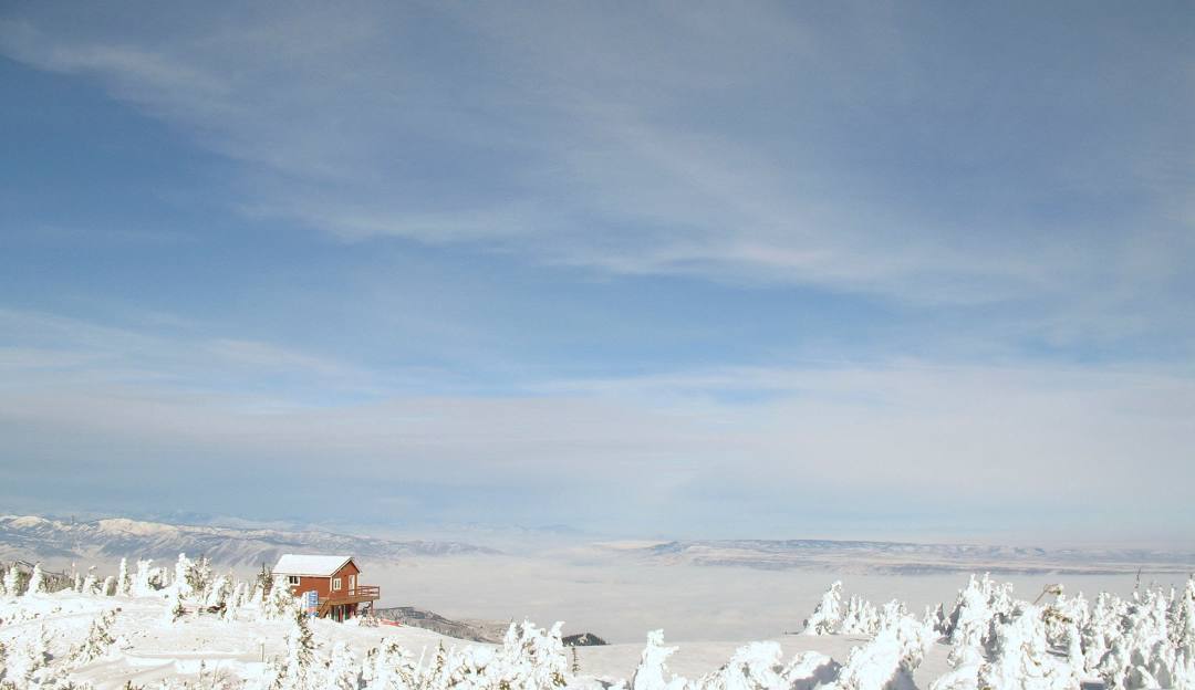 Mission Ridge WA in USA - snow covered trees on a mountain.
