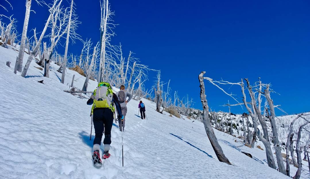 Mission Ridge WA in USA - a group of people skiing down a snowy slope.