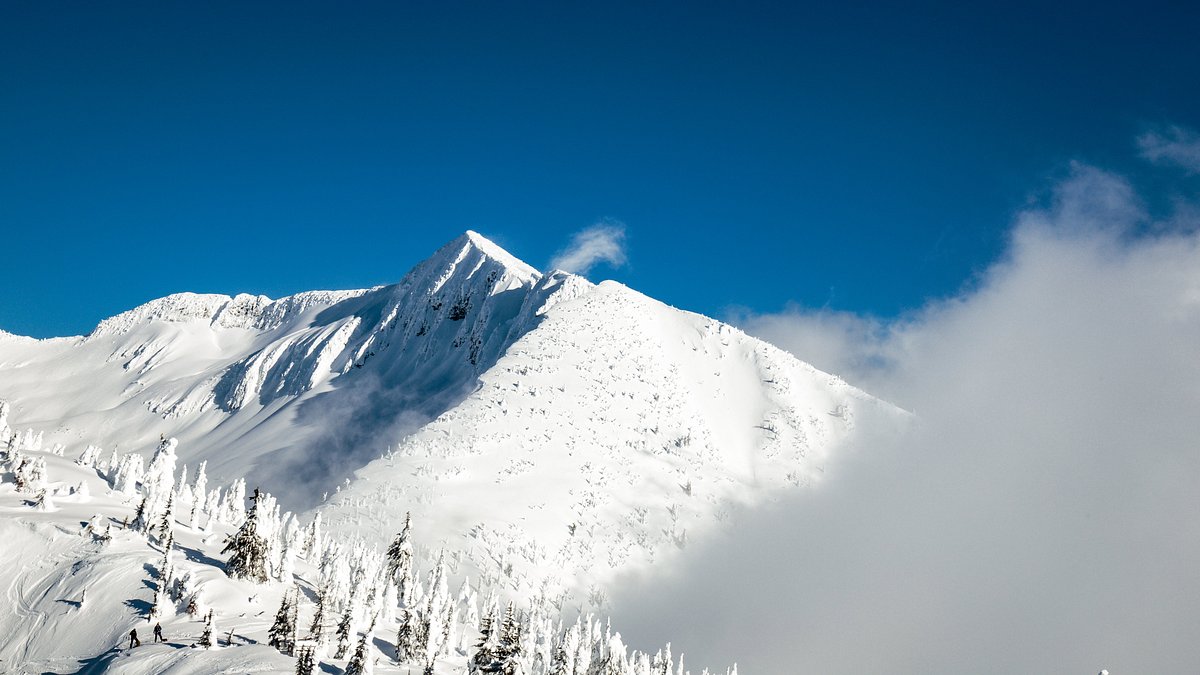 Whitewater – Nelson in Canada - a snow covered mountain with trees in the fore.