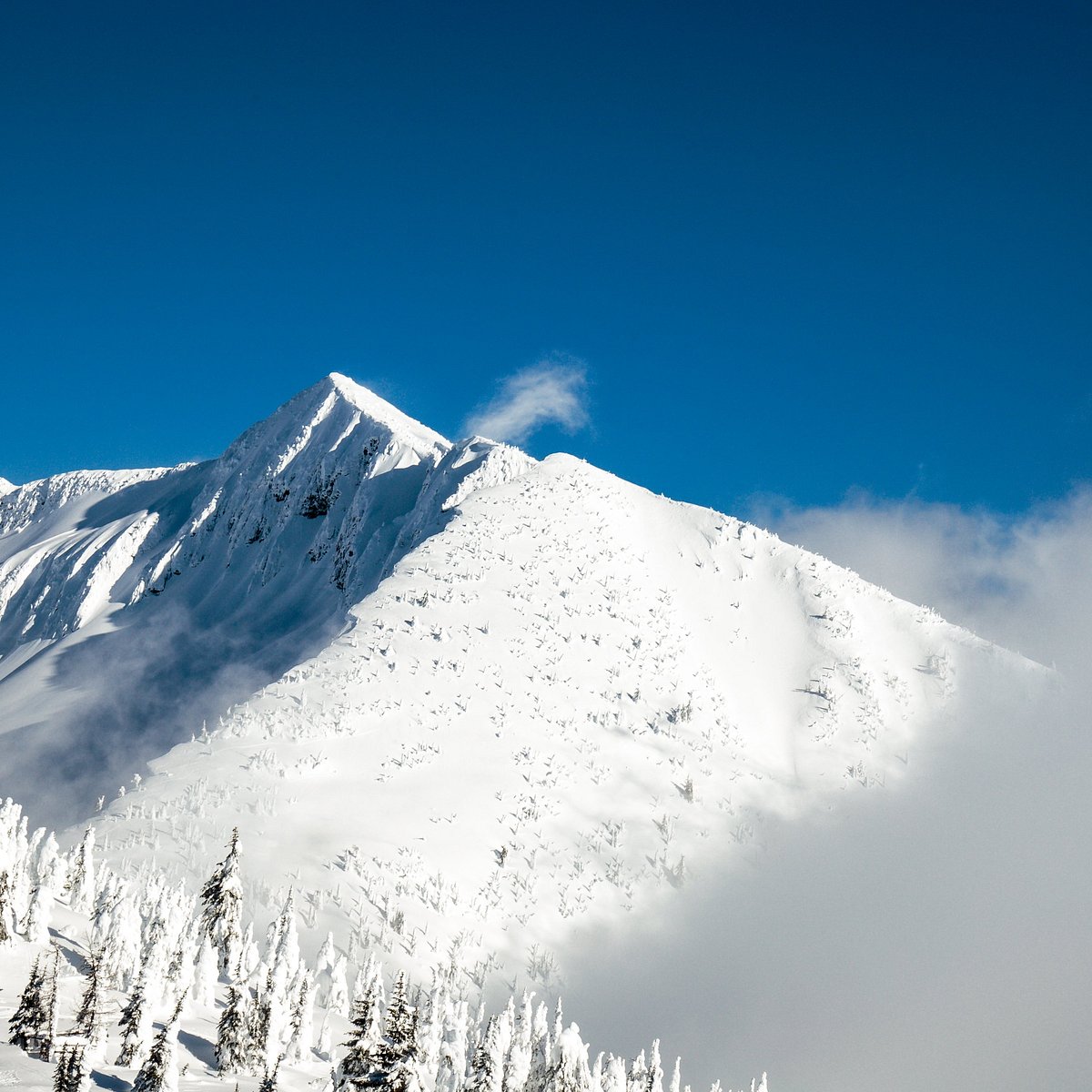 Whitewater – Nelson in Canada - a snow covered mountain with trees and a blue sky.