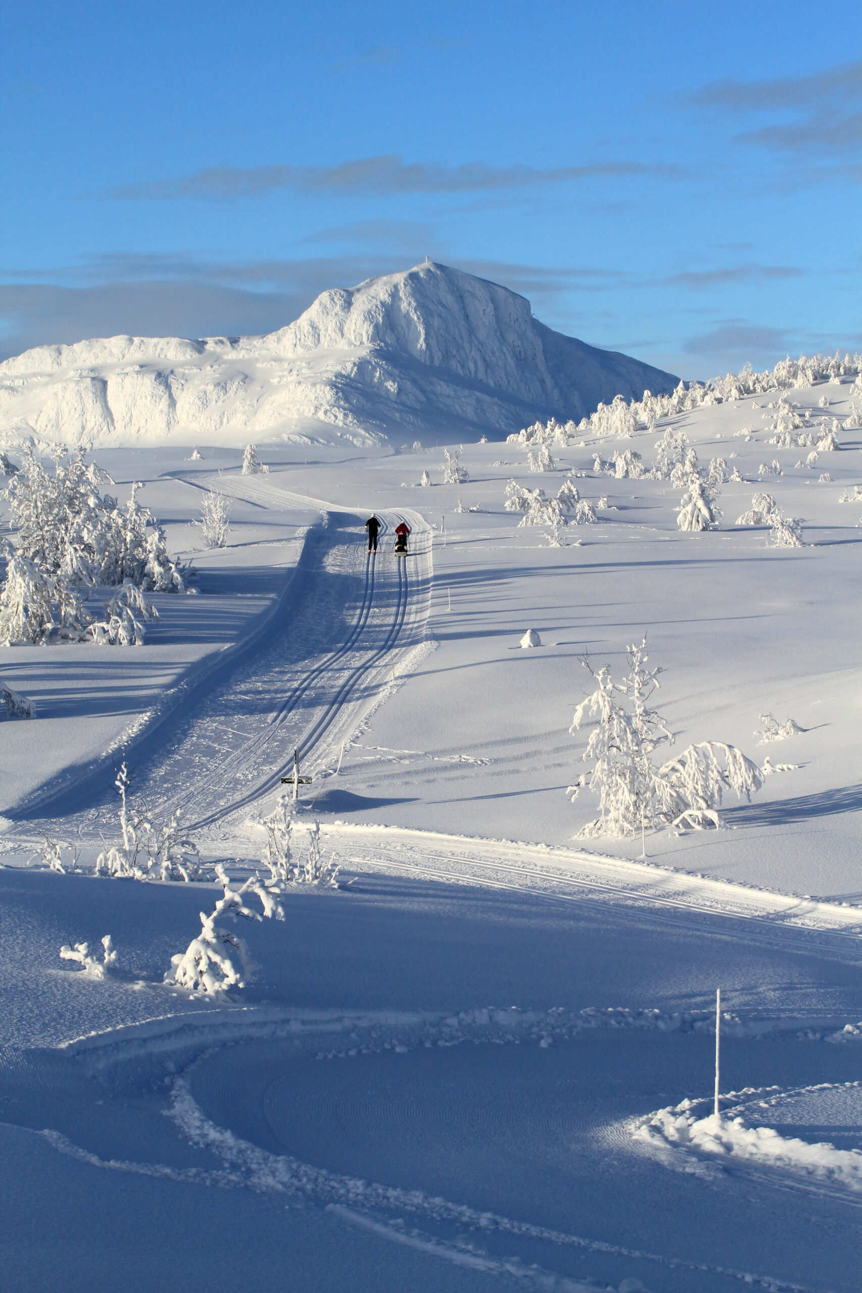 Winter sports scene at Beitostølen in Valdres, Norway, featuring a bustling ski resort amidst a stunning winter scenery with chalets dotting the snow-laden landscape.
