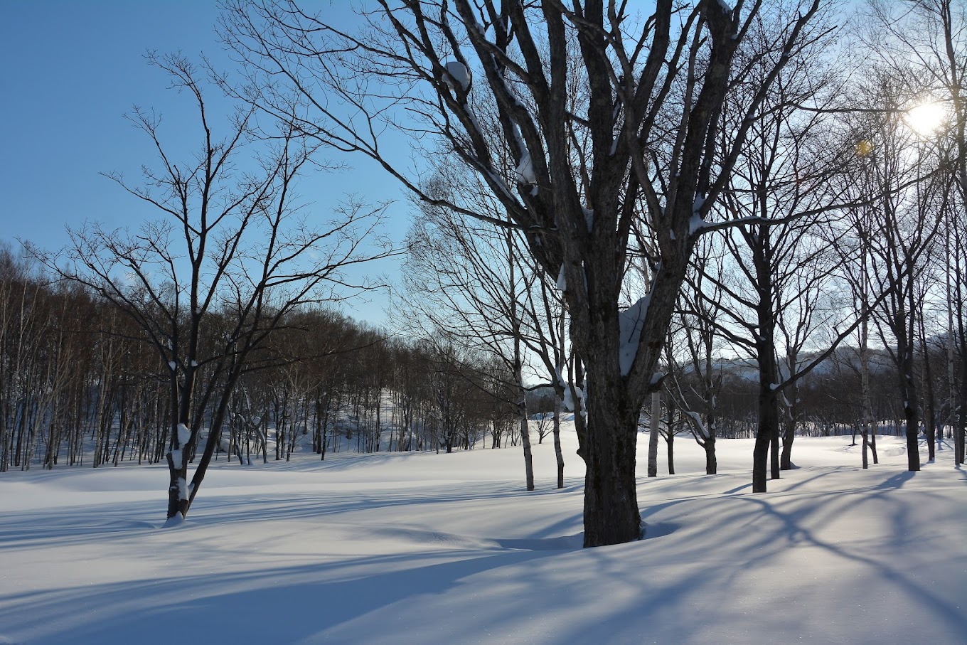 Winter scene at Niseko Weiss Cat in Kutchan, Hokkaido, Japan featuring stunning winter landscapes and an active winter sports scene, with a chalet subtly nestled in the background.