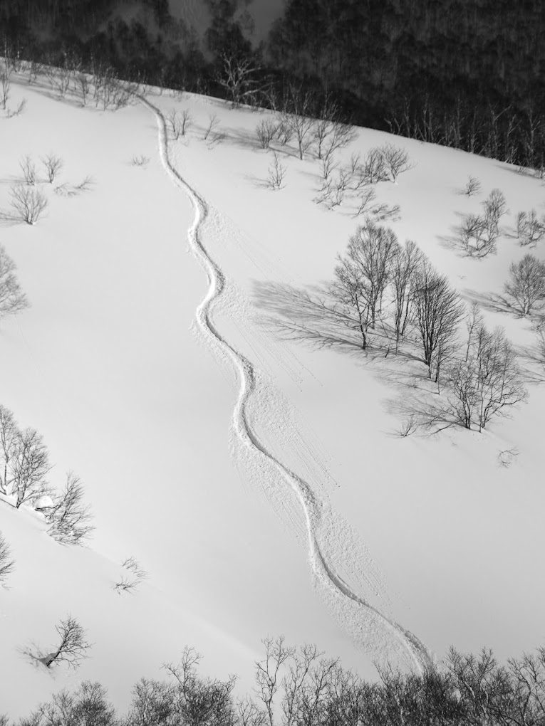 Winter scenery at Niseko Weiss Cat in Kutchan, Japan, featuring a stunning snow-covered landscape, a chalet in the distance and a skier enjoying the winter sports scene.