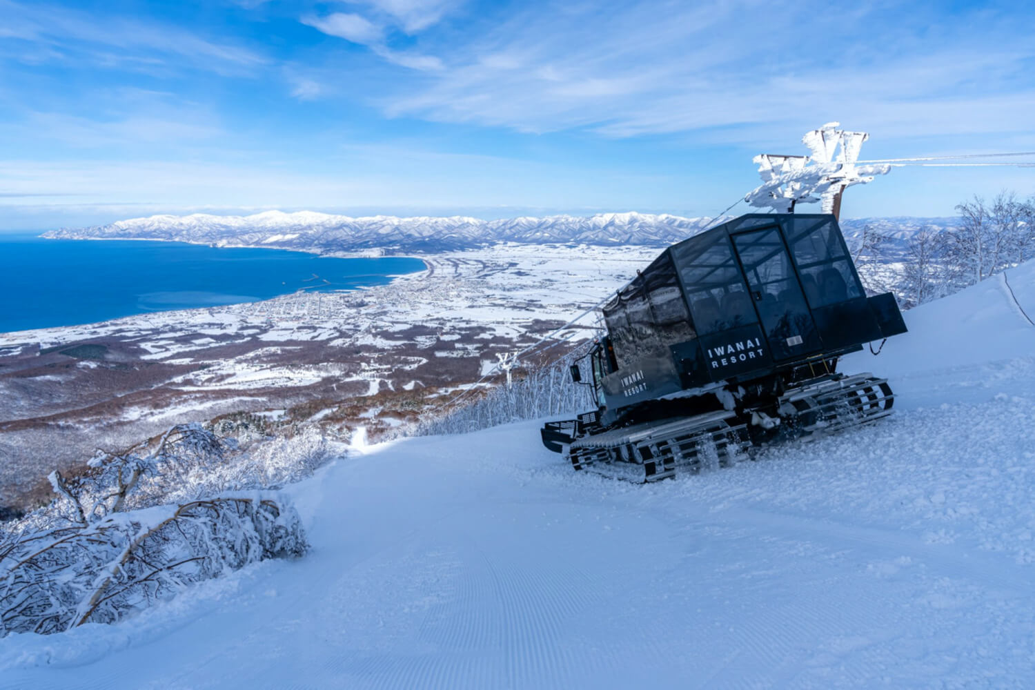 Niseko Weiss Cat in Japan - a clear blue sky.