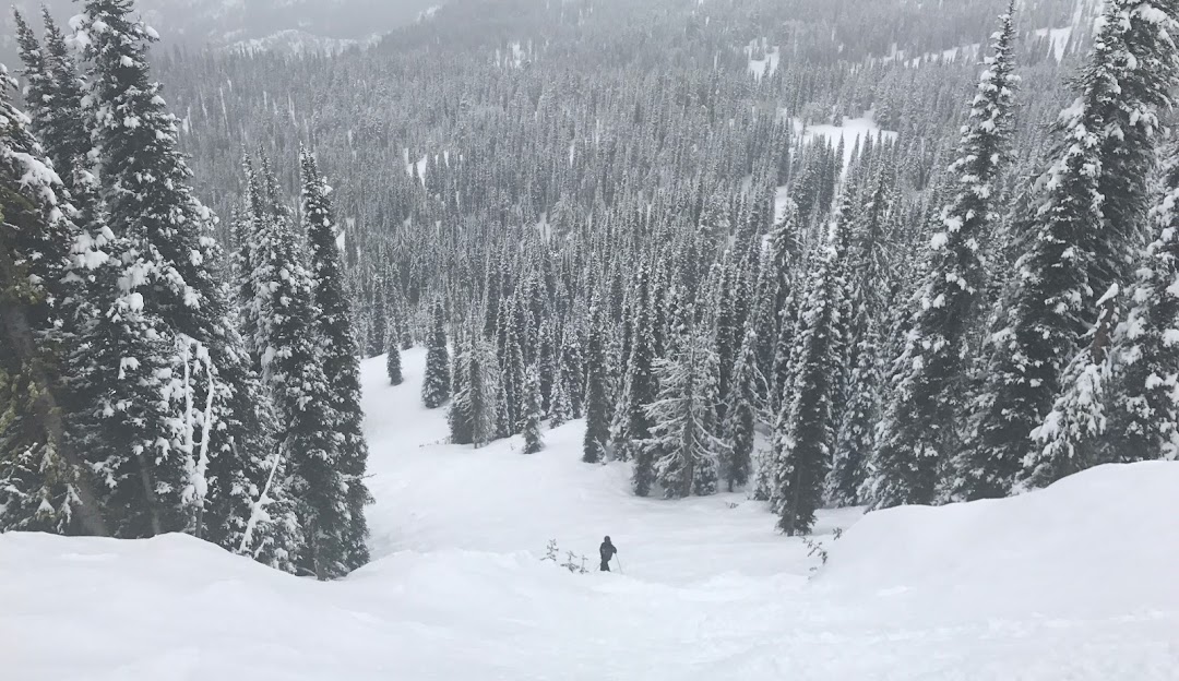 Brundage Mountain in USA - a person skiing down the side of a mountain.