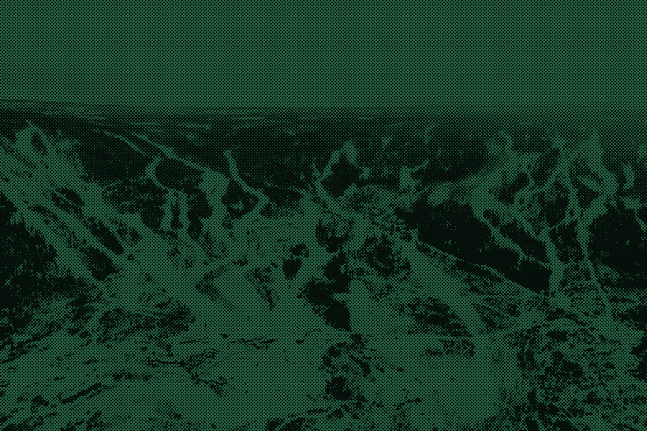 Overlooking Powderhorn in Colorado a mountain dominates the scenery with a charming challet nestled amidst the slopes. Far off subtle hints of a ski resort a mountain bike and a lake add variety to the scene.