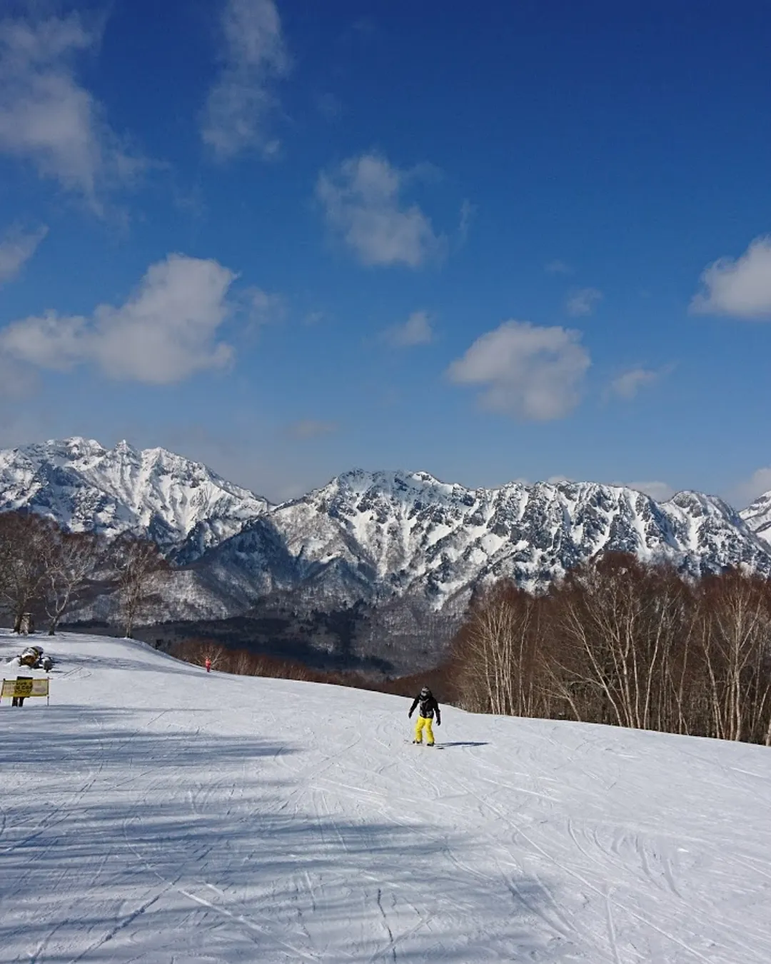Togakushi in Japan - a group of people skiing down a snow covered slope.