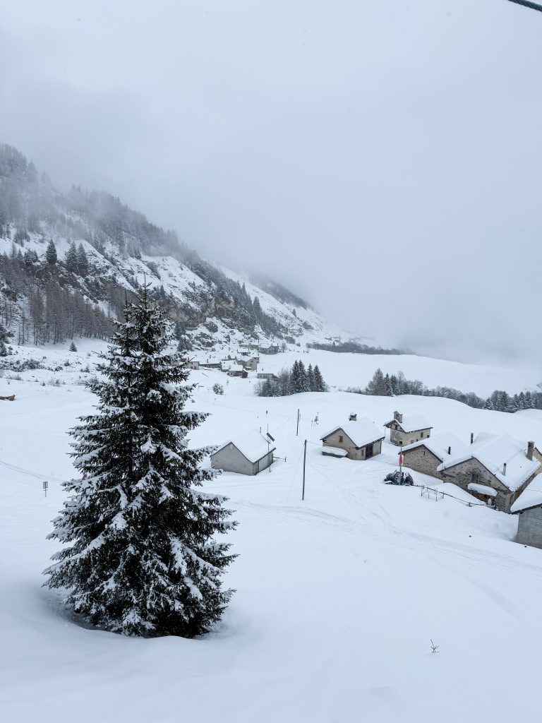 Amici del Nara in Switzerland - a snow covered mountain with a small tree in the fore.