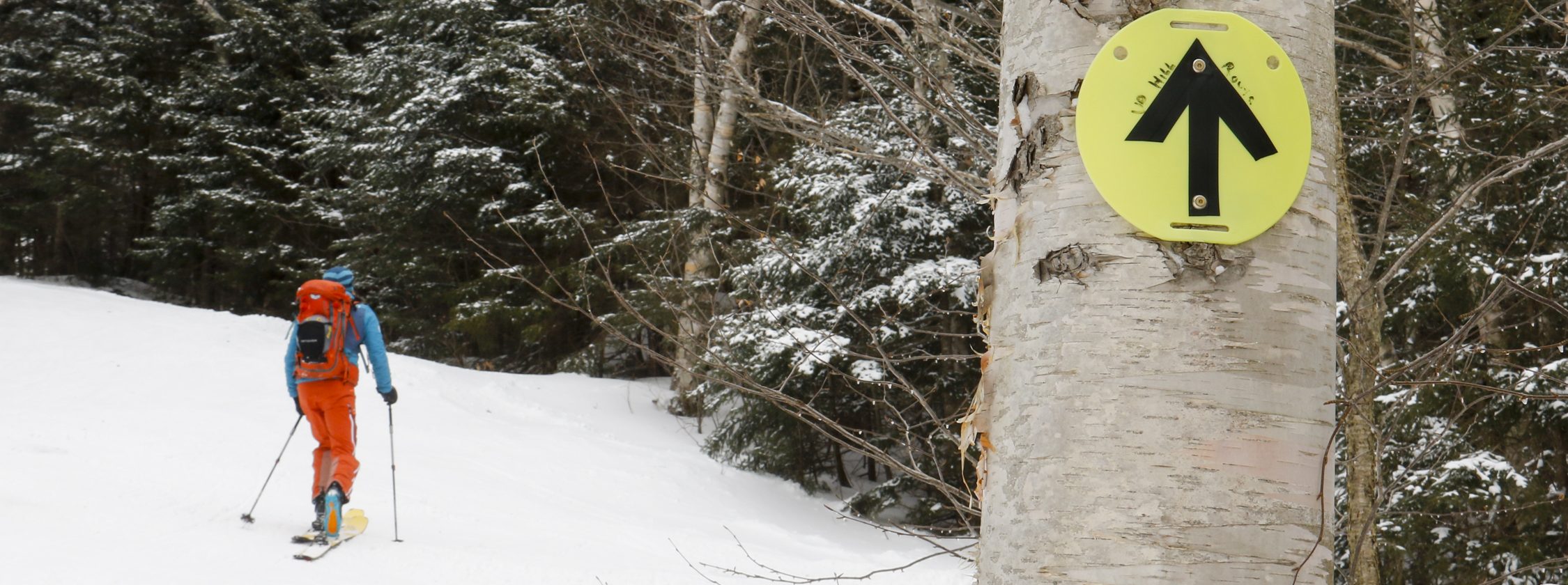 A winter sports scene at Mad River Glen Waitsfield Vermont featuring a skier gliding down a beautiful snow-covered slope with a charming chalet in the backdrop.