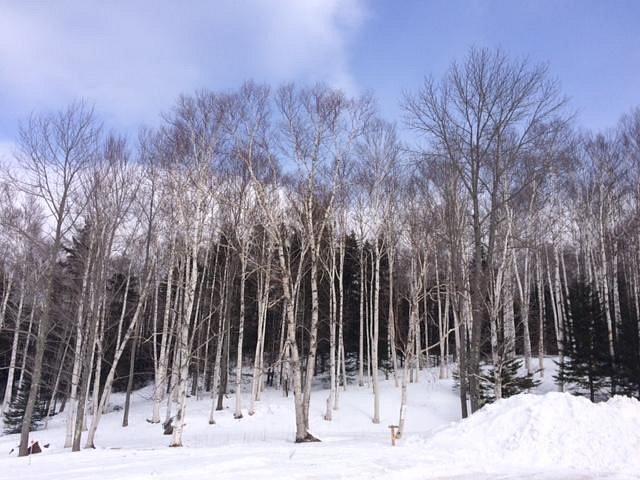 Gunstock Mountain Resort in USA - a snow covered ski slope with trees in the background.