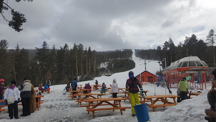 A winter sports scene at Sarıkamış ski resort in Eastern Anatolia Turkey featuring a chalet and a ski lift in the background.