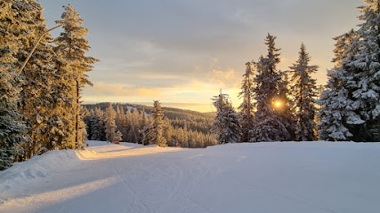 Winter scene at Romme Alpin ski resort in Borlänge, Central Sweden, featuring a skier descending a snow-covered slope amidst picturesque winter scenery.