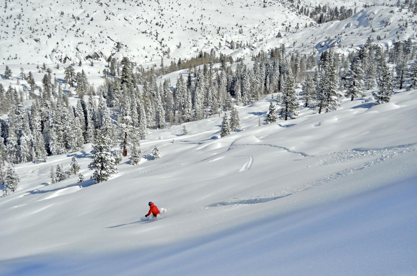 Dodge Ridge in USA - a person is skiing down a snowy slope.