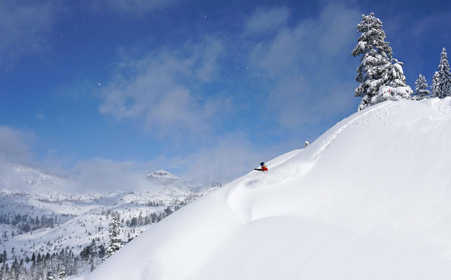 Dodge Ridge in USA - a person riding a snowboard down a snowy slope.