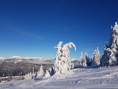 Winter scene at Stuhleck in Styria, Austria, featuring stunning snowy landscapes and a ski resort with a skier making their way down the slopes.